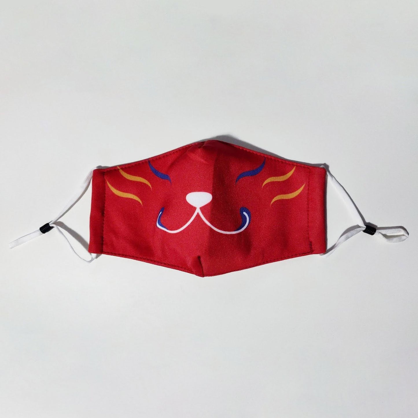 Masks with Removable Filters