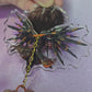 Caleb Movable Wings Acrylic Charm